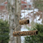 DIY Bird Feeder Craft & Bird Watching Tips for Outdoor Fun