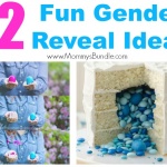 Gender Reveal Ideas: 12 Fun Ways to Share the News