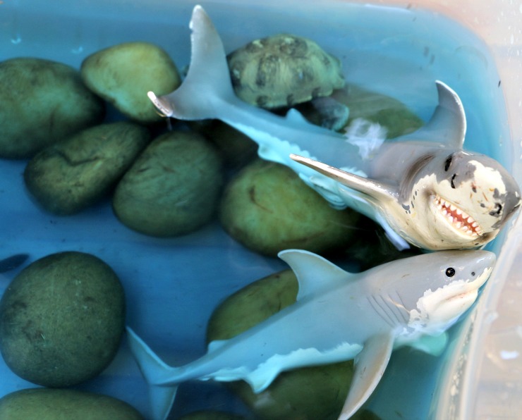shark toys for sensory bin