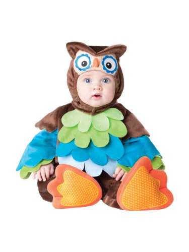 InCharacter Costumes Baby's What A Hoot Owl Costume, Brown/Multi, 6 to 12 months