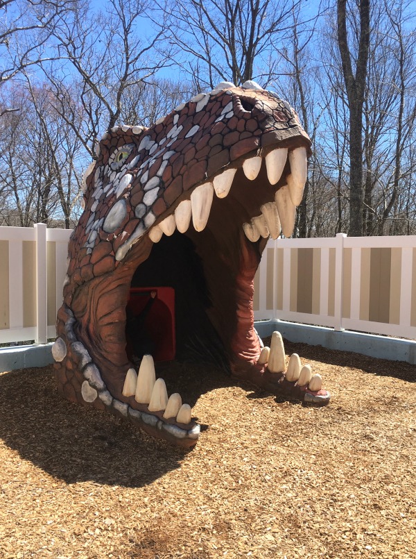 dinosaur maze and slide